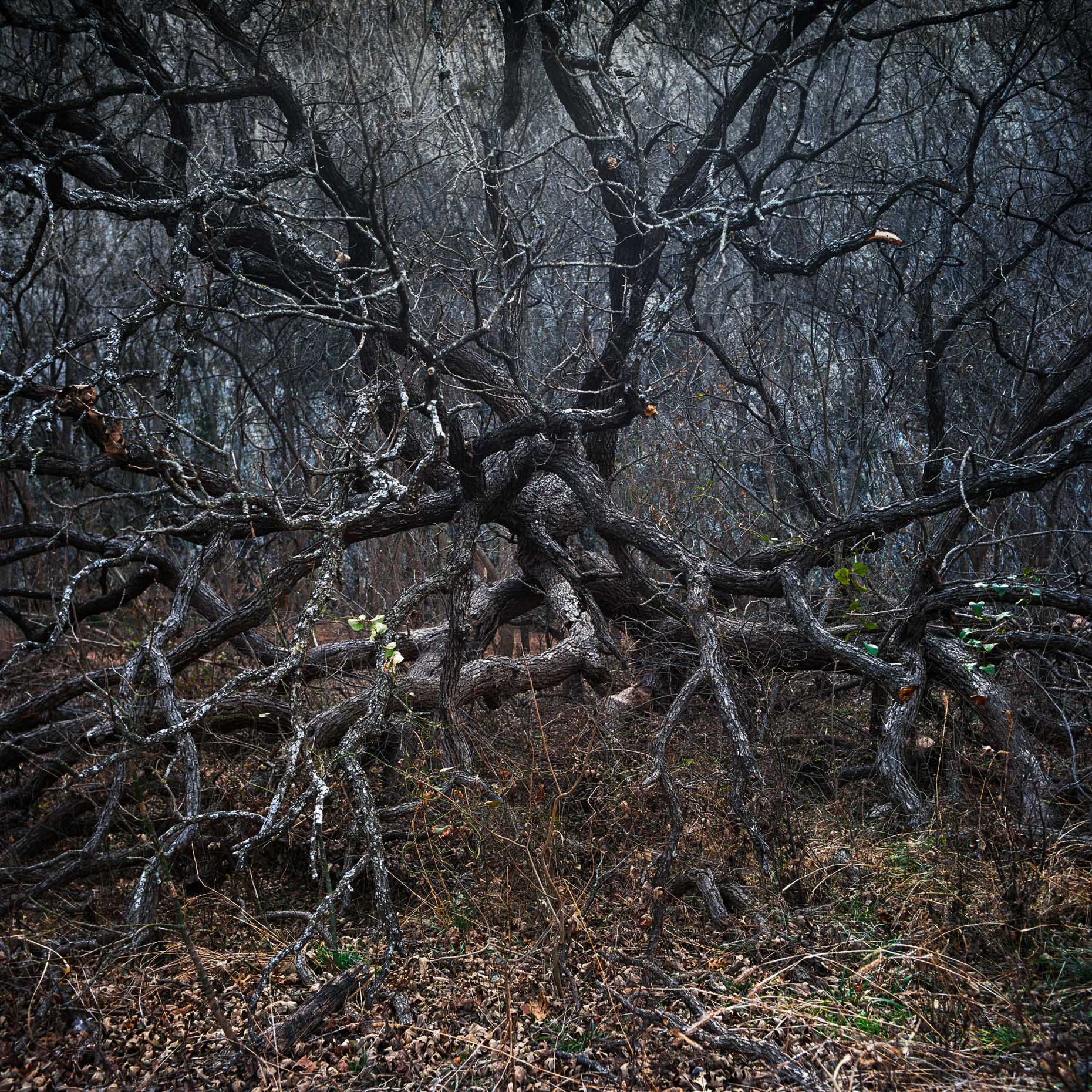 Oklahoma_Landscapes-6OK